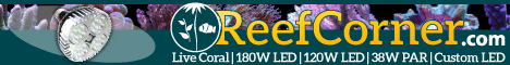 reefcorner
